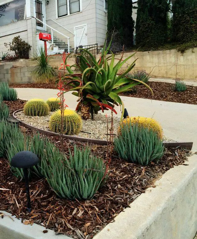 outdoor succulents and cacti with red mailbox